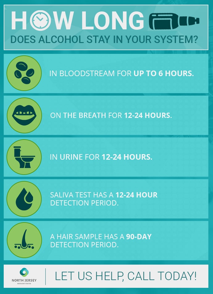 Alcohol in Your System (Infographic)