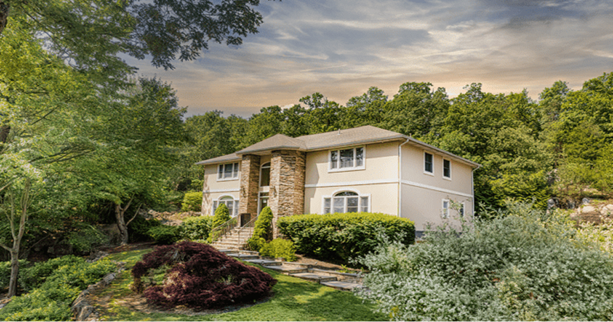 dog-service-img-651b 1